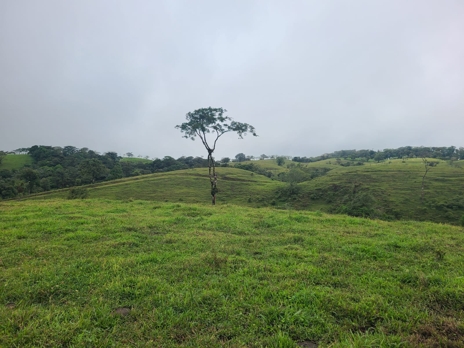 Spectacular 105-Hectare Lot with Lakes, Mountain Views, & Natural Resources  photo 12