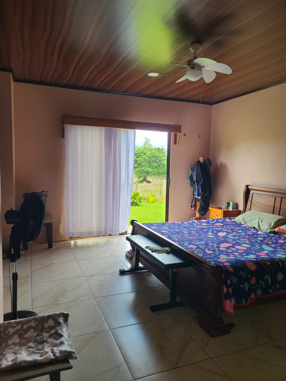 Spacious Property with Warehouses and Workshop in Mata de Caña photo 10