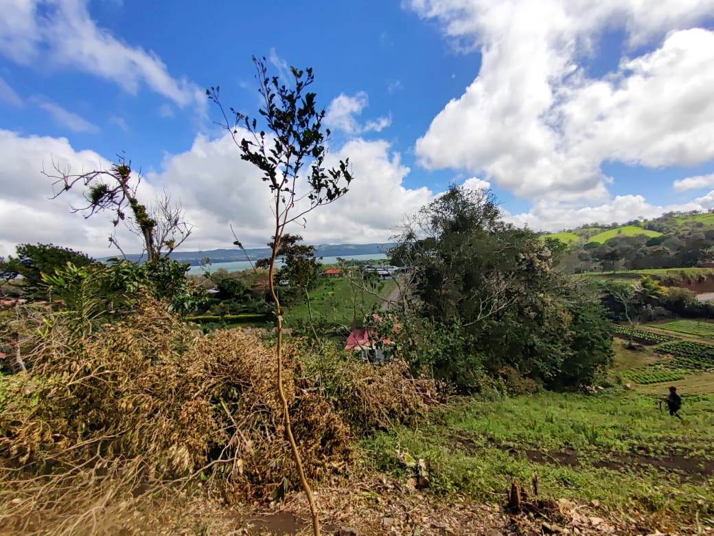 Beautiful 2932 m2 lot with Lake Arenal View in Tronadora  photo 7