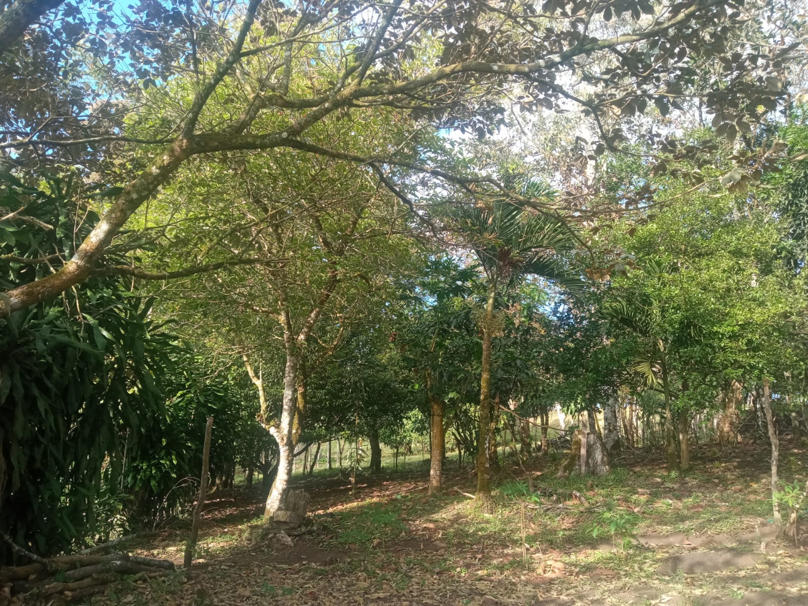 Beautiful, 1407 m2 (0,34 acres) Lot in Parcelas de Quebrada Azul, Tilarán photo 17