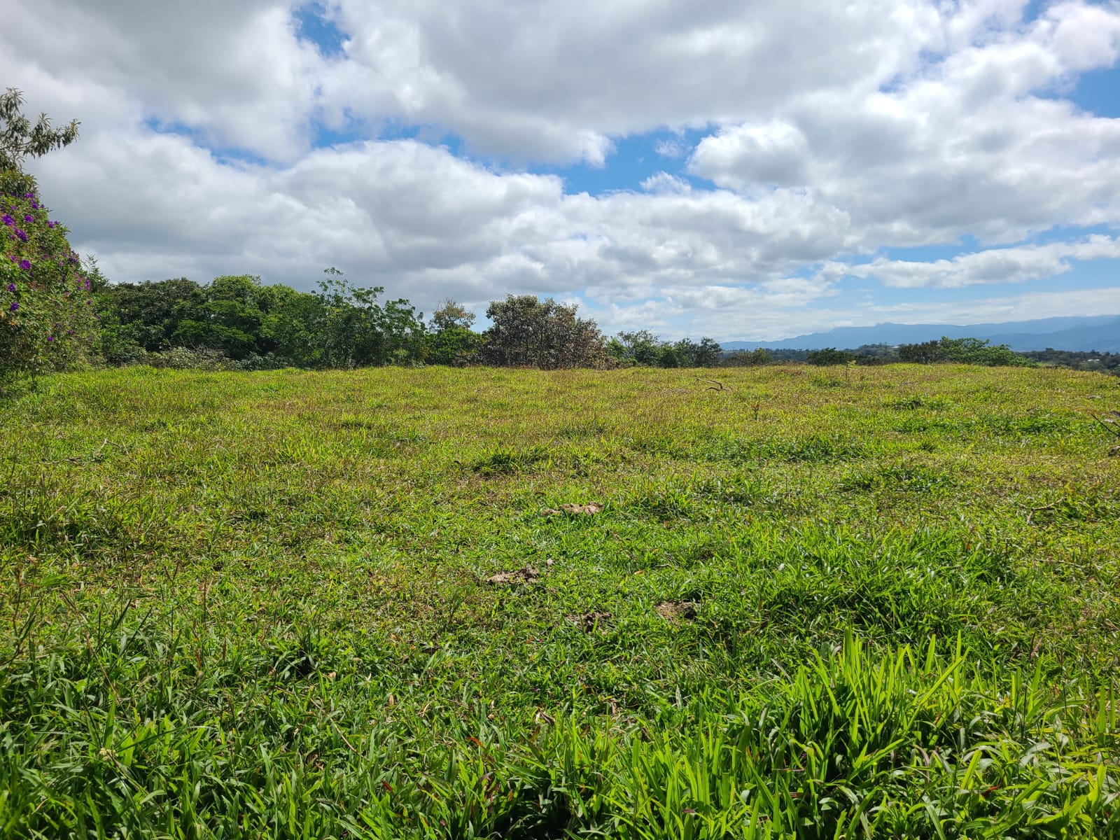 35,000 Sqm Property with Spectacular Lake Arenal View and Ravine photo 16