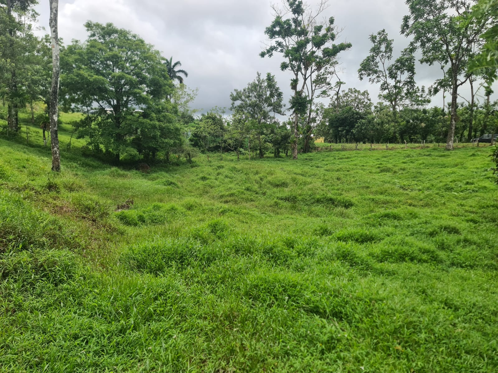 10,500 M2 (2.59 Acres) Lot with a Creek in Río Celeste photo 7