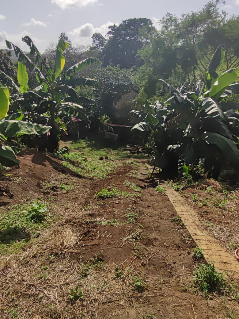 Lovely1,903 m3 (0.47 Acre) Near Lake Arenal in  Tronadora photo 6