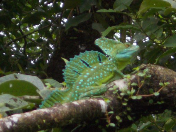 168 acres (68 hectares) of natural peace and tranquility with four cabins photo 31