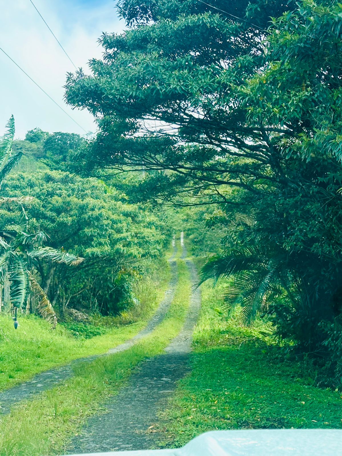 Prime 6,000 m² (1.48 Acre) Lot with Stunning Views of Lake Arenal & Mountains  photo 10