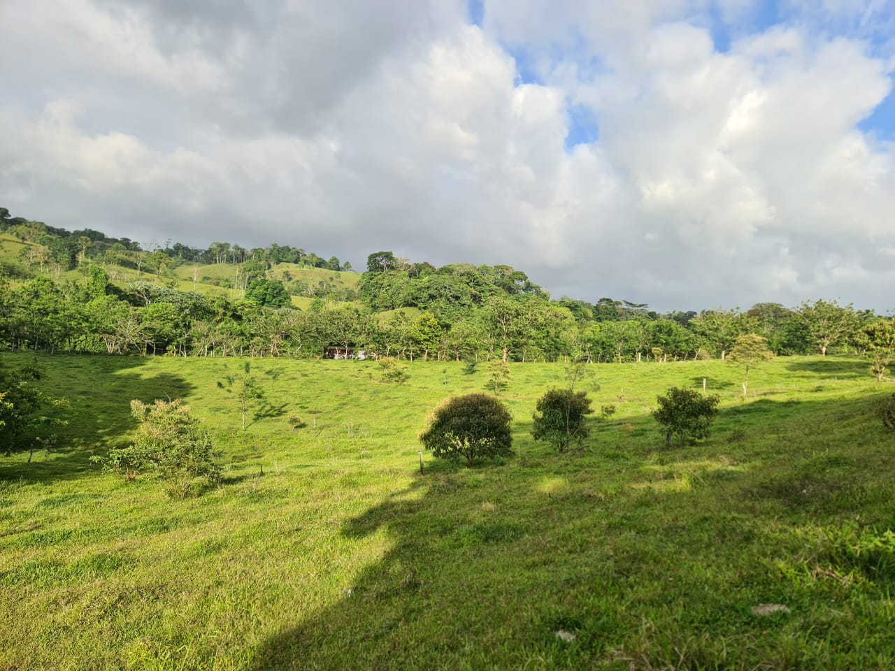 16-Hectare Farm with a Private Well and Views of Lake Arenal in Nuevo Arenal photo 15