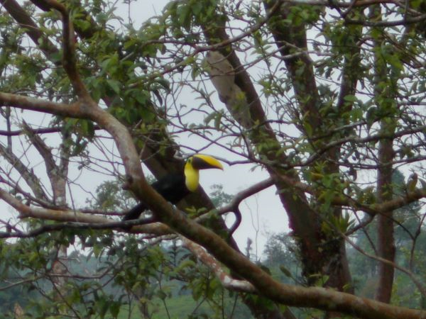 168 acres (68 hectares) of natural peace and tranquility with four cabins photo 24