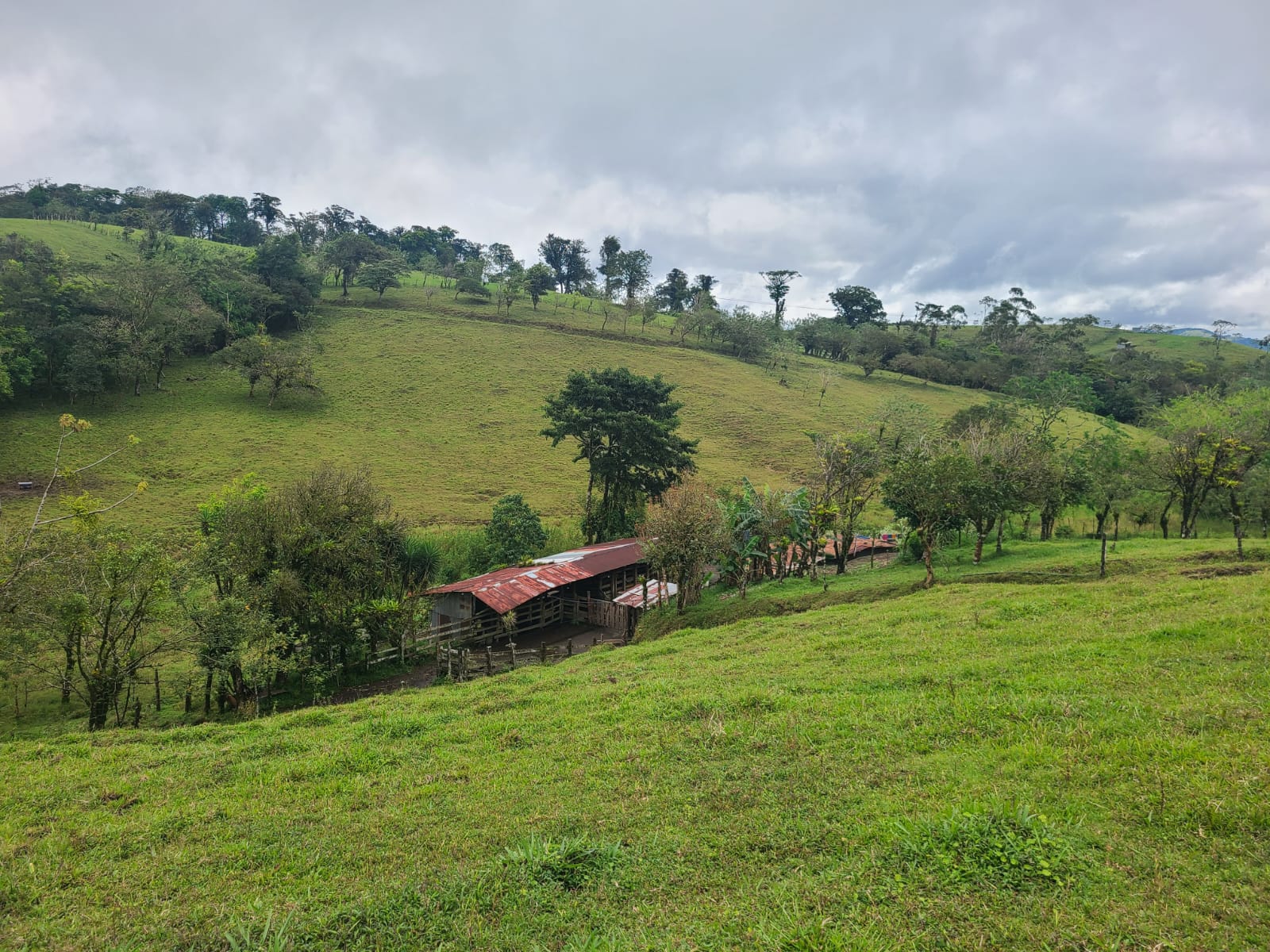 Spectacular 105-Hectare Lot with Lakes, Mountain Views, & Natural Resources  photo 7