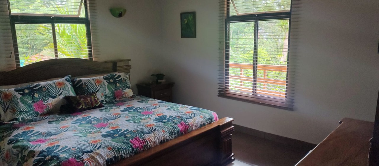 Stunning 2-bedroom, 2-bathroom home with Pool and Lake Arenal Views photo 17