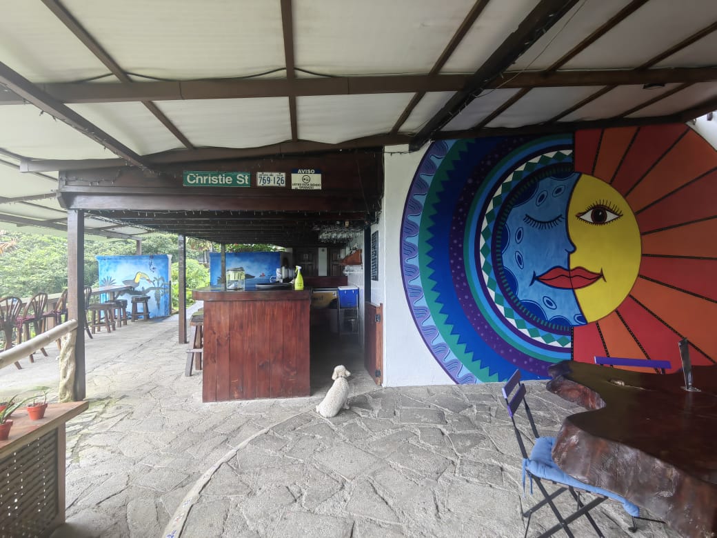 Boutique Hotel and Restaurant Between La Fortuna and Nuevo Arenal photo 18