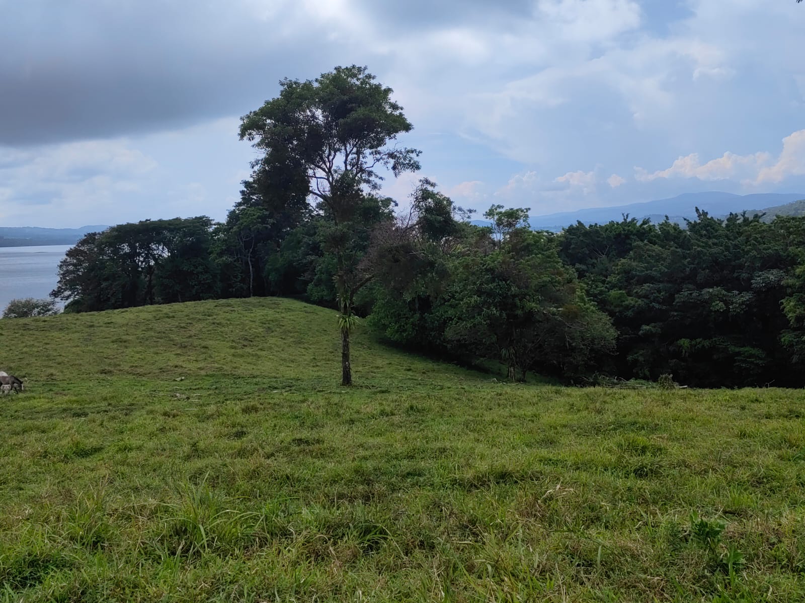 Finca La Tortuga – A Developer’s Dream! Lake Arenal View 5.7 Hectare Farm photo 6