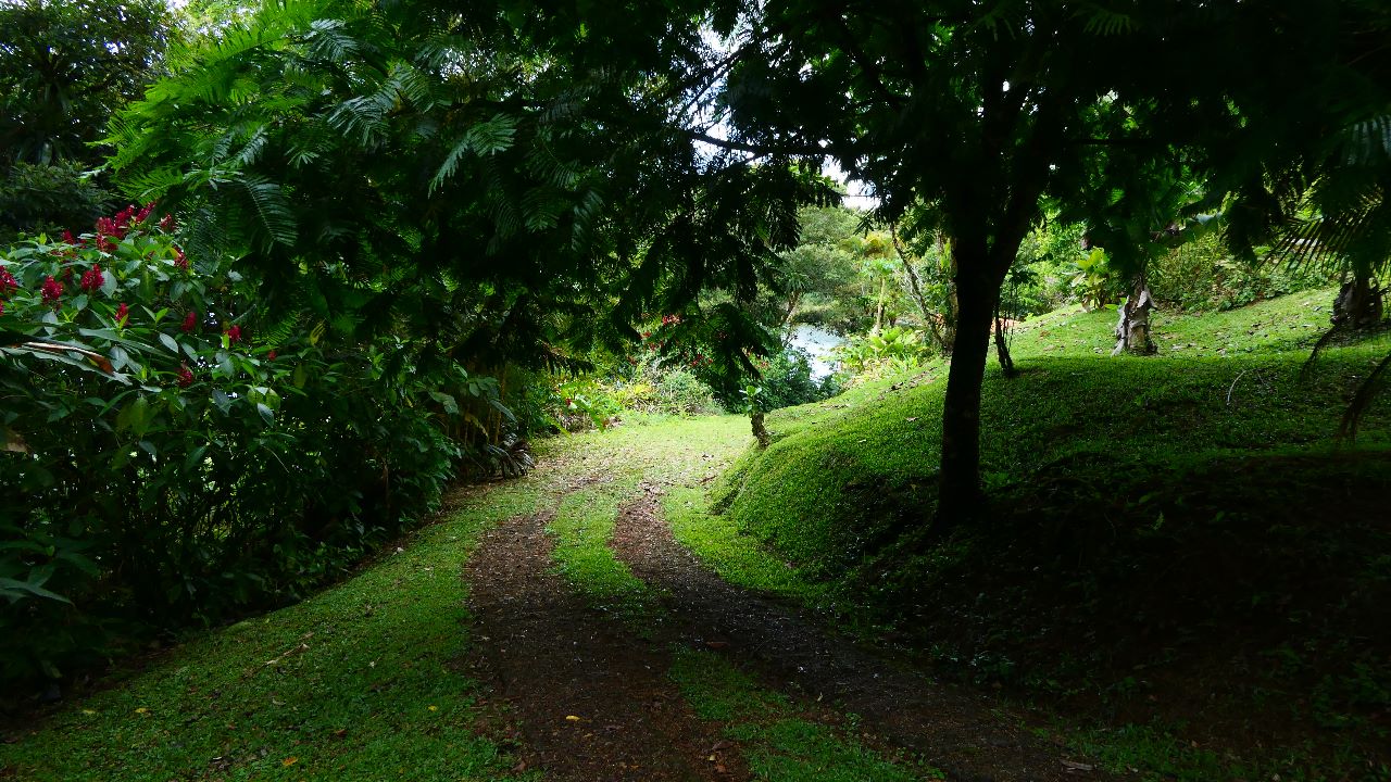 A very unique 1 Bedroom/1 Bathroom Boat House with lake access photo 22