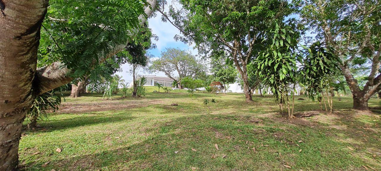 Lakeview Home 4BD 2BAw/ Lake Access, Development Potential & BMW  photo 14