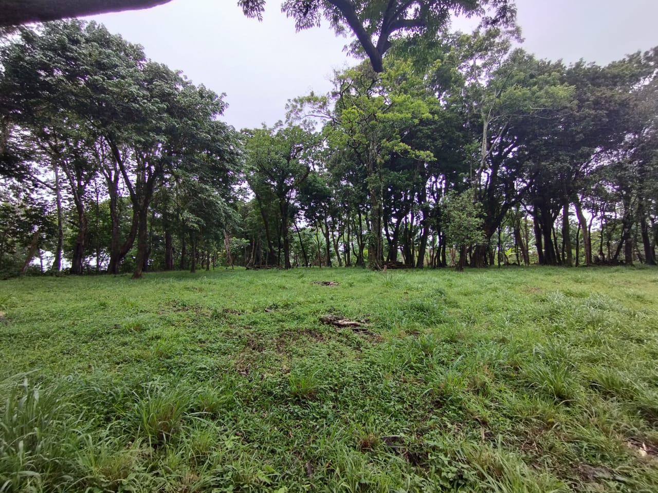 Expansive 30,229 m² (7.46 Acre) Lot w/ House & Scenic Views in Tierras Morenas photo 7