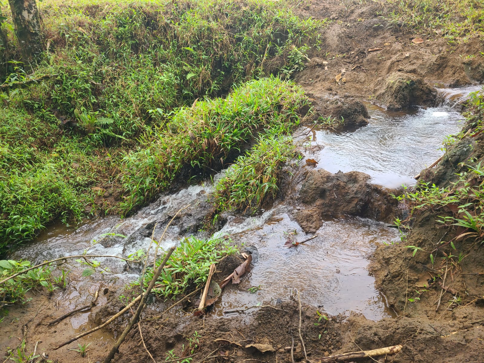 Spectacular 105-Hectare Lot with Lakes, Mountain Views, & Natural Resources  photo 22