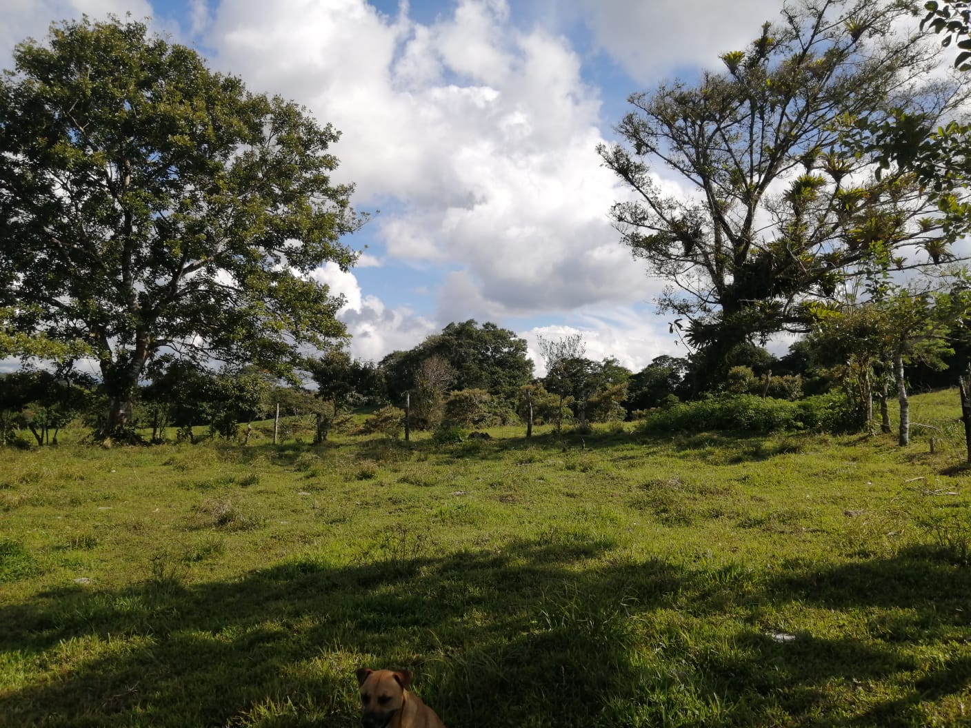 16-Hectare Farm with a Private Well and Views of Lake Arenal in Nuevo Arenal photo 33