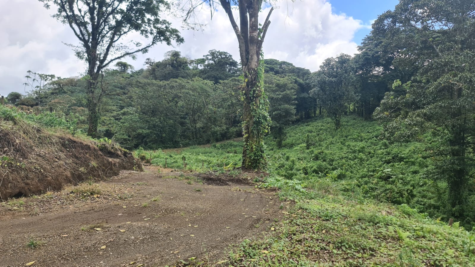 33 Hectare (81.5 acre) Property with Volcano Views in San Carlos, Alajuela photo 27