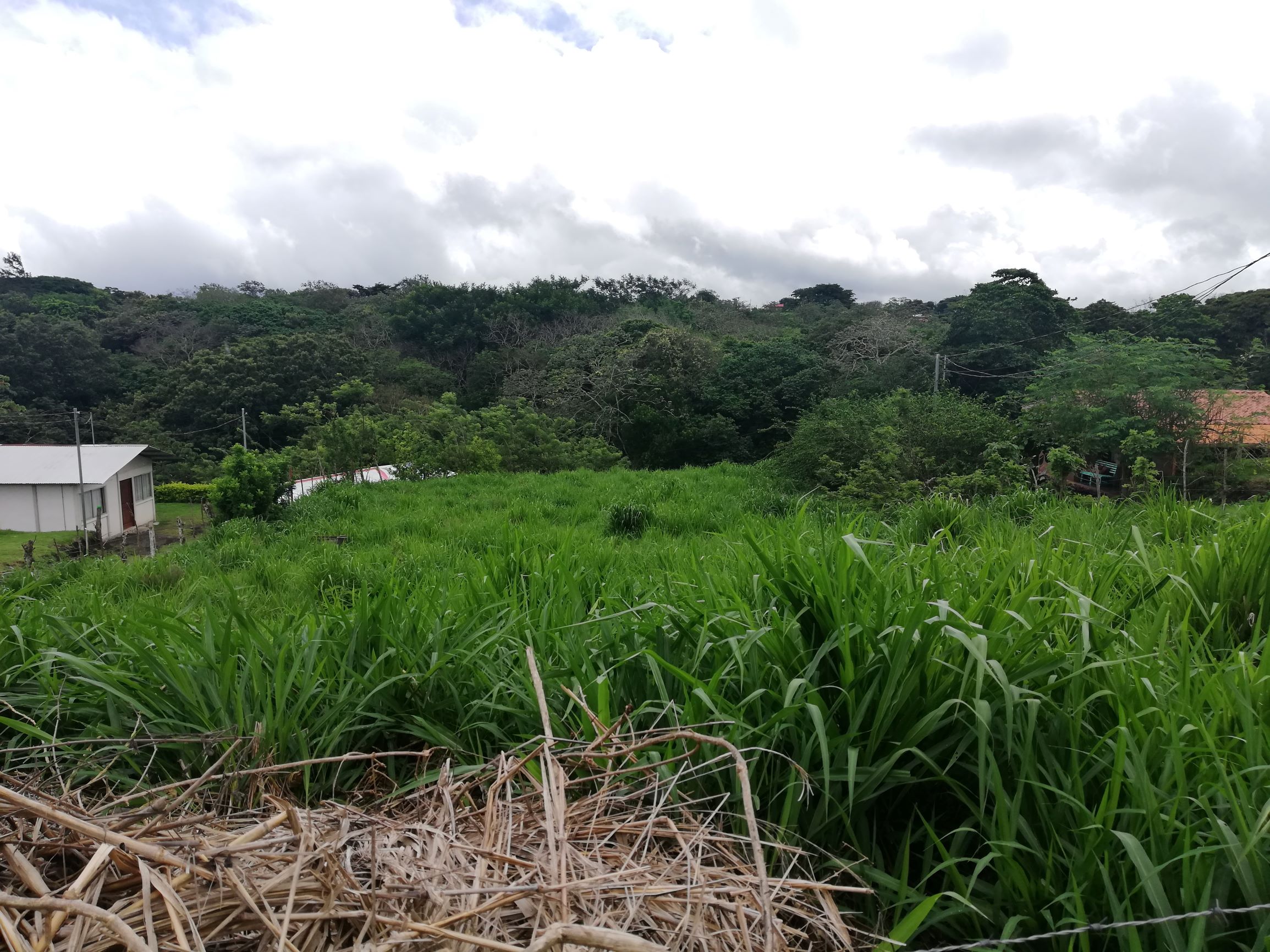 READY TO BUILD! 2,670m2 Parcel near Downtown Tronadora  photo 12