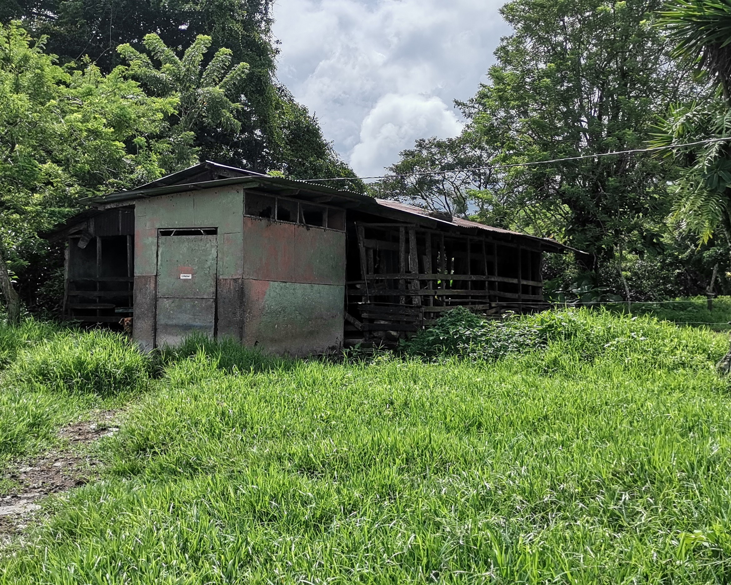 Magnificent 24,811m2 Lake and Volcano View Parcel with Huge Views in Tronadora photo 38