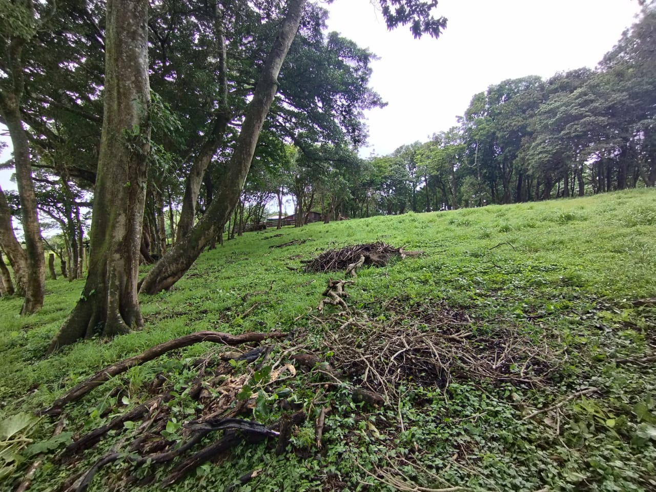 Expansive 30,229 m² (7.46 Acre) Lot w/ House & Scenic Views in Tierras Morenas photo 8