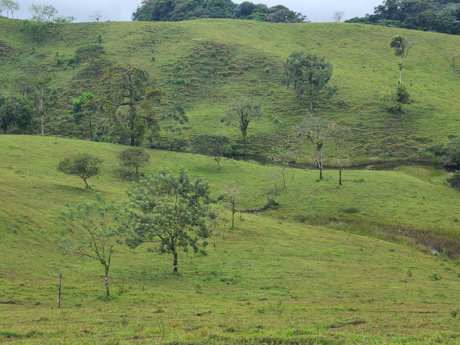 Spectacular 105-Hectare Lot with Lakes, Mountain Views, & Natural Resources  photo 13