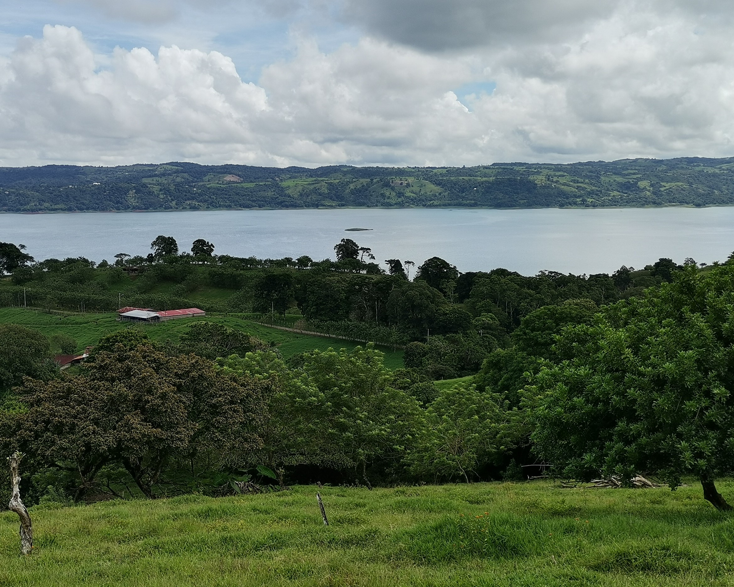 Magnificent 24,811m2 Lake and Volcano View Parcel with Huge Views in Tronadora photo 24