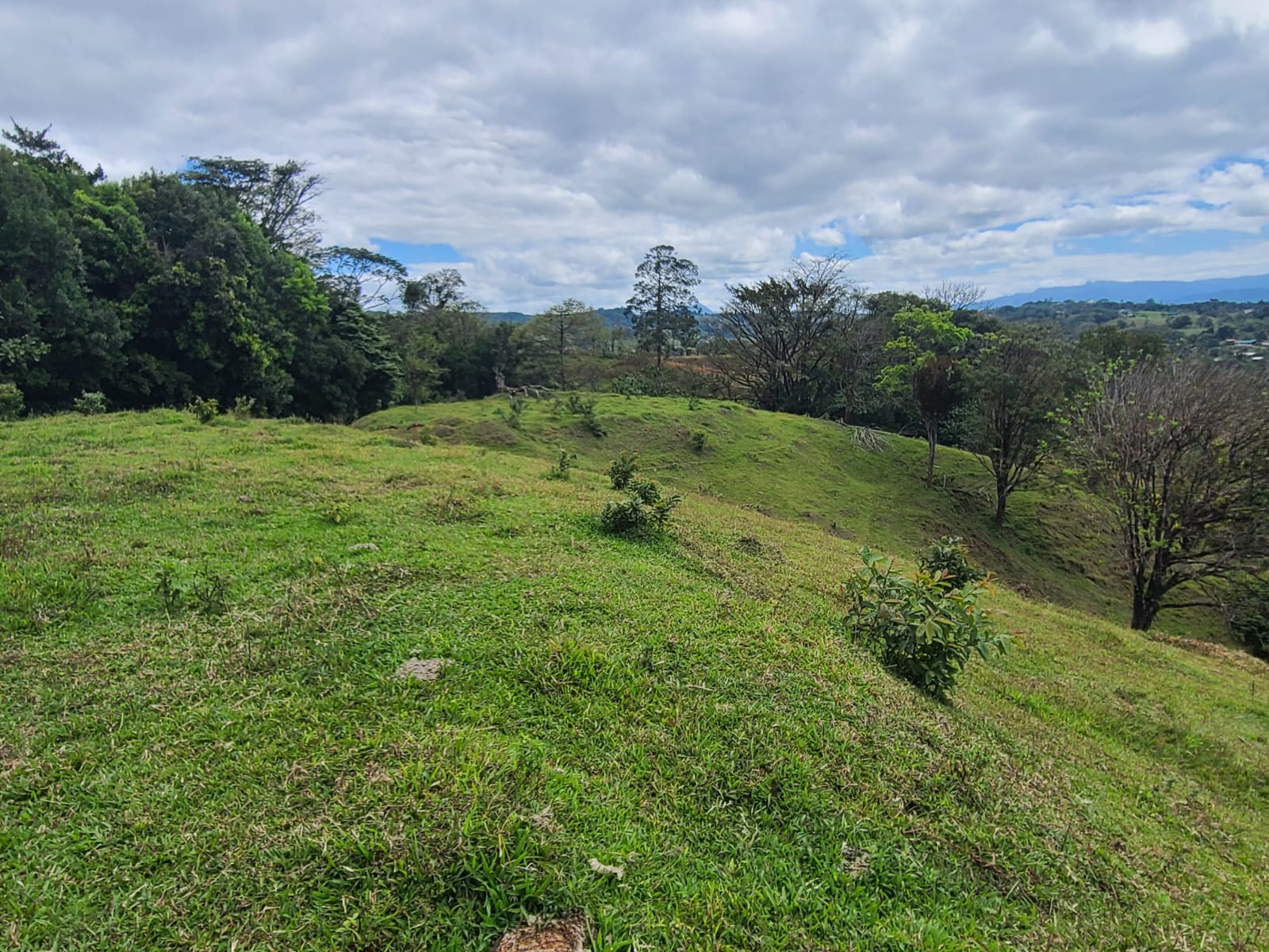 35,000 Sqm Property with Spectacular Lake Arenal View and Ravine photo 12