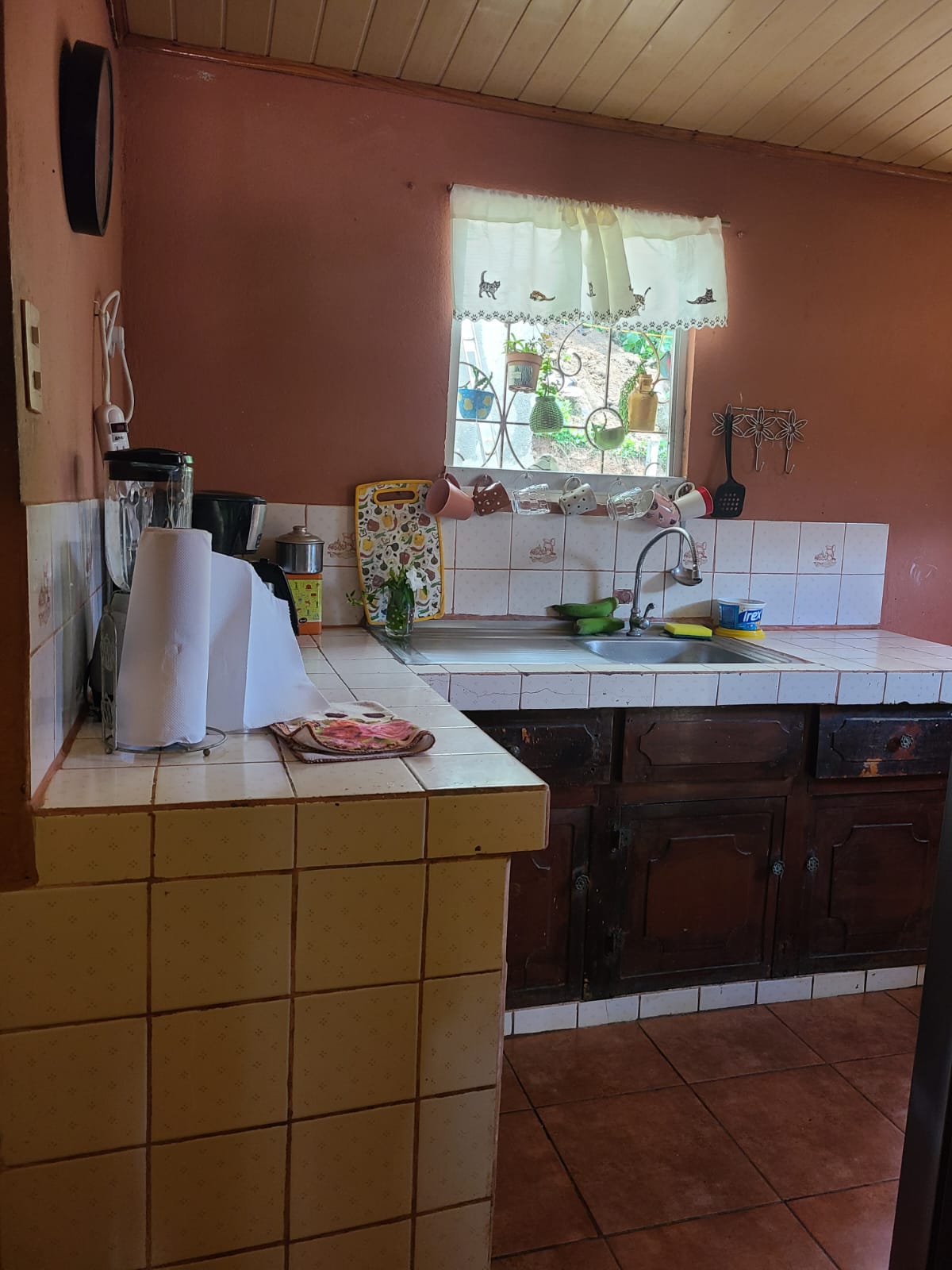Lovely, 2 Bedroom, 1 Bathroom + Den, Tico Style Home in Rio Piedras  photo 7