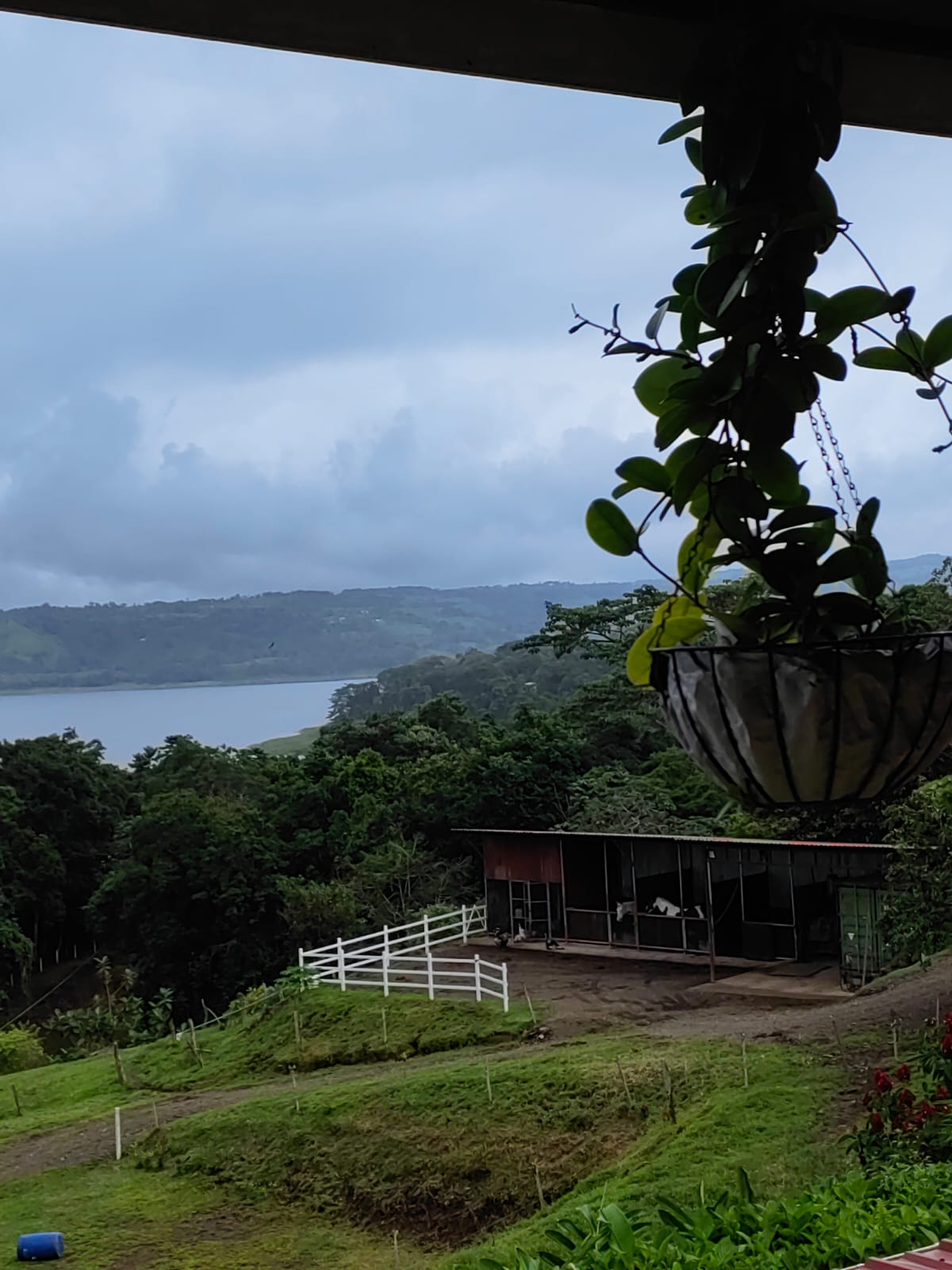 Sprawling, 2 BD/2 BA Home+Office+Apt+Stables+Green House in Tronadora photo 40