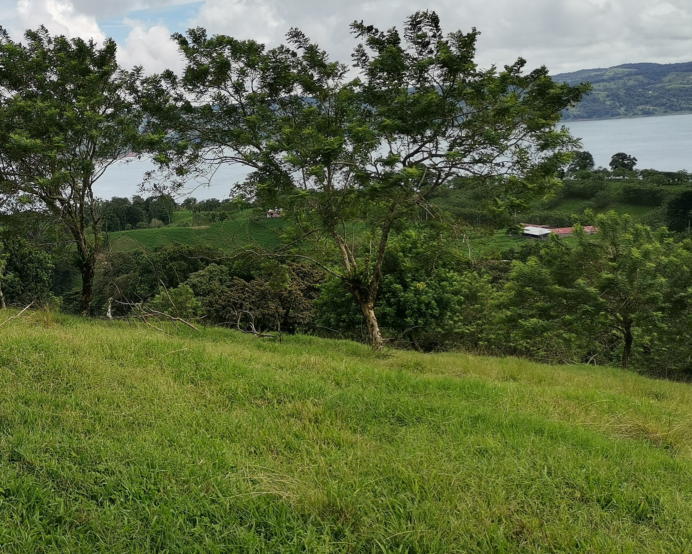 Magnificent 24,811m2 Lake and Volcano View Parcel with Huge Views in Tronadora photo 28