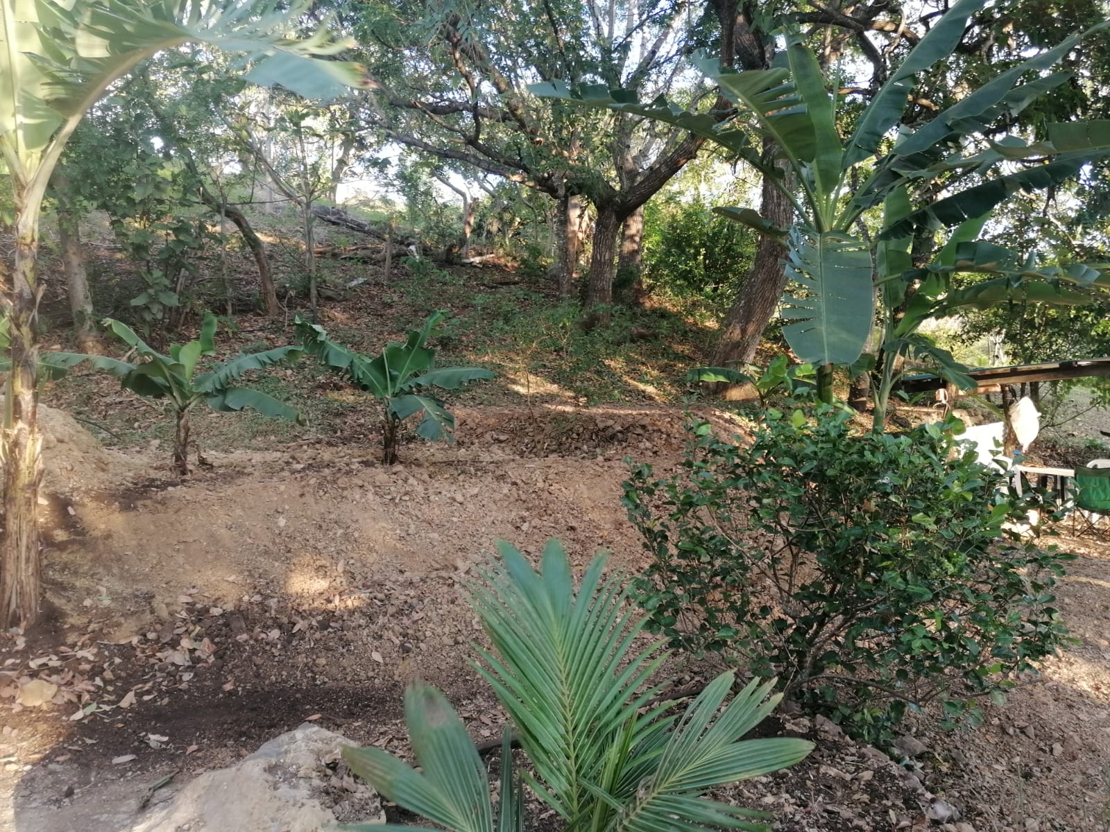 Nature Lover: 5,121 m2 Lot with Mountain Views and Lush Fruit Orchard photo 16