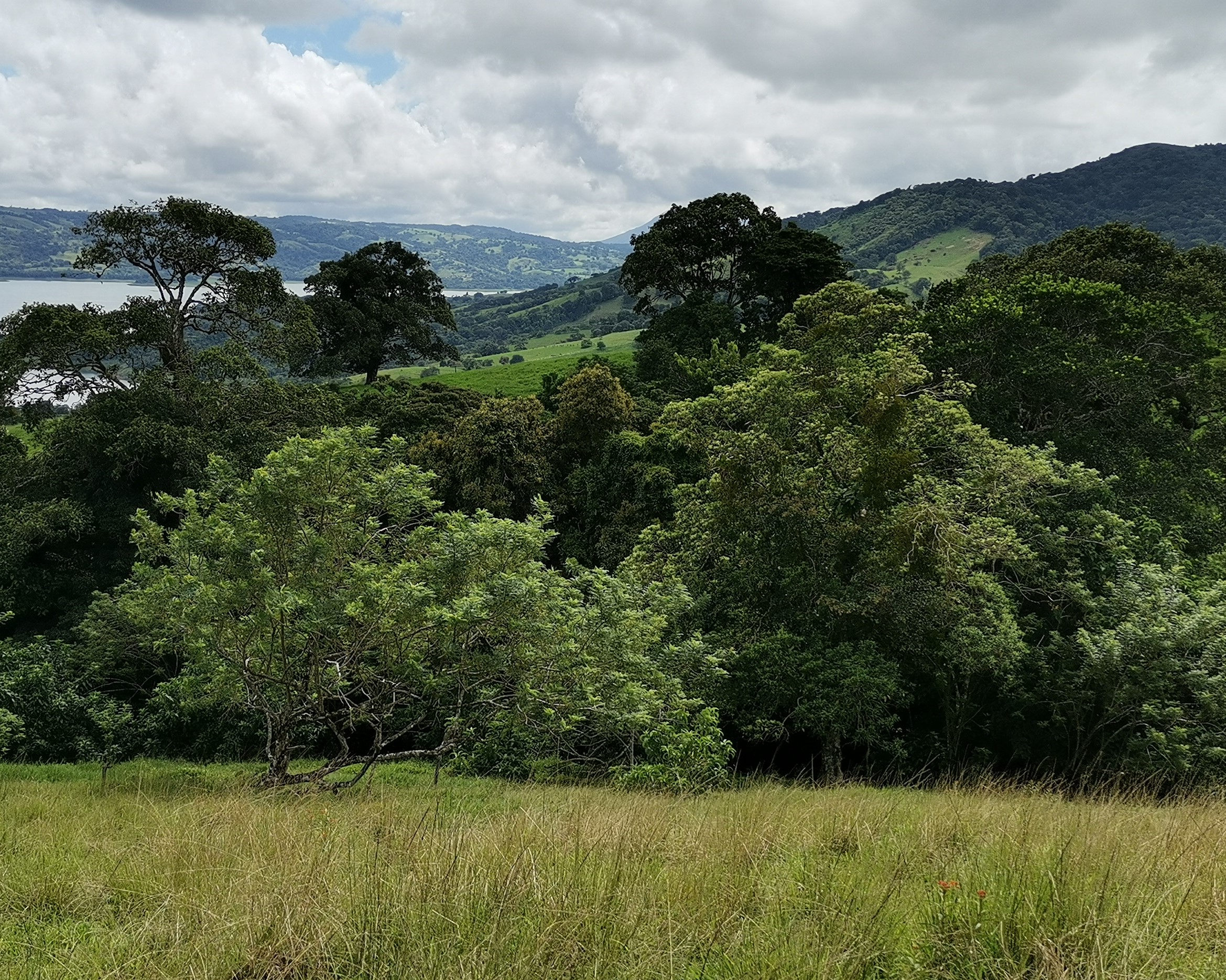 Magnificent 24,811m2 Lake and Volcano View Parcel with Huge Views in Tronadora photo 23