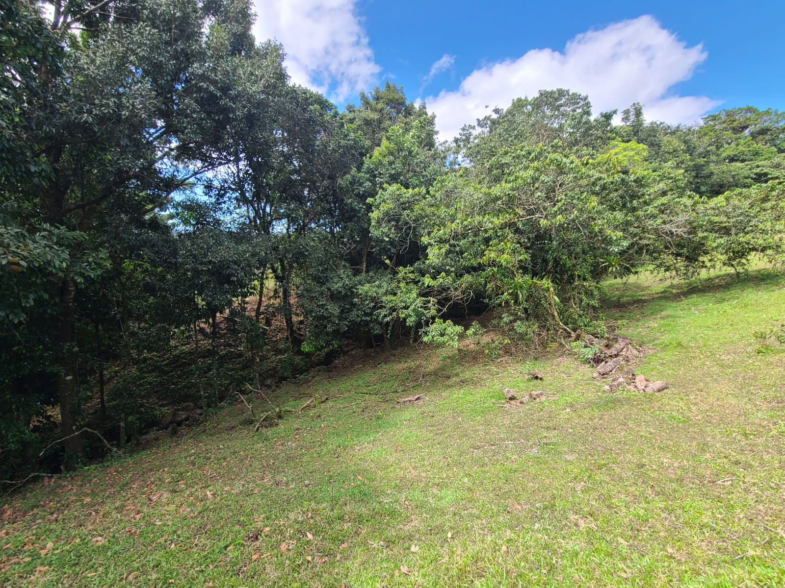 35,000 Sqm Property with Spectacular Lake Arenal View and Ravine photo 7