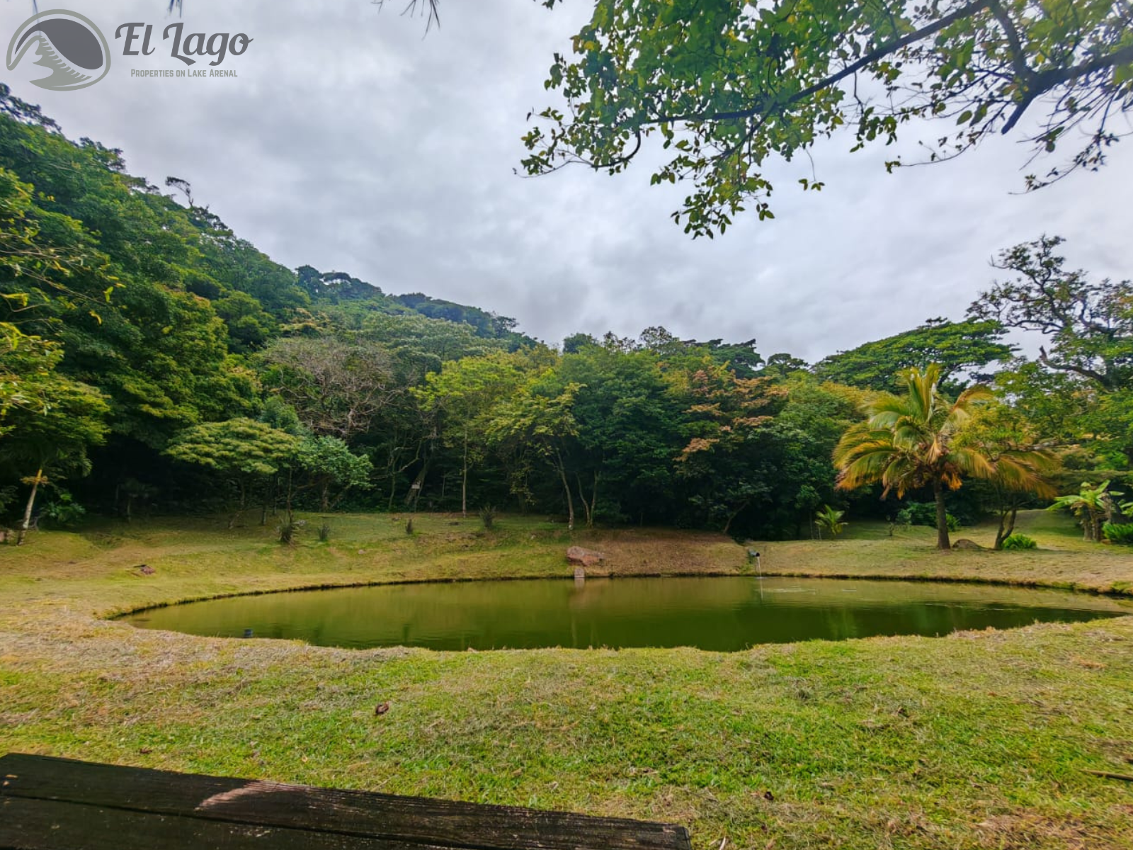 Luxury Estate w/ 8 BD, 9 BA, Private Forest, and Development Potential photo 80