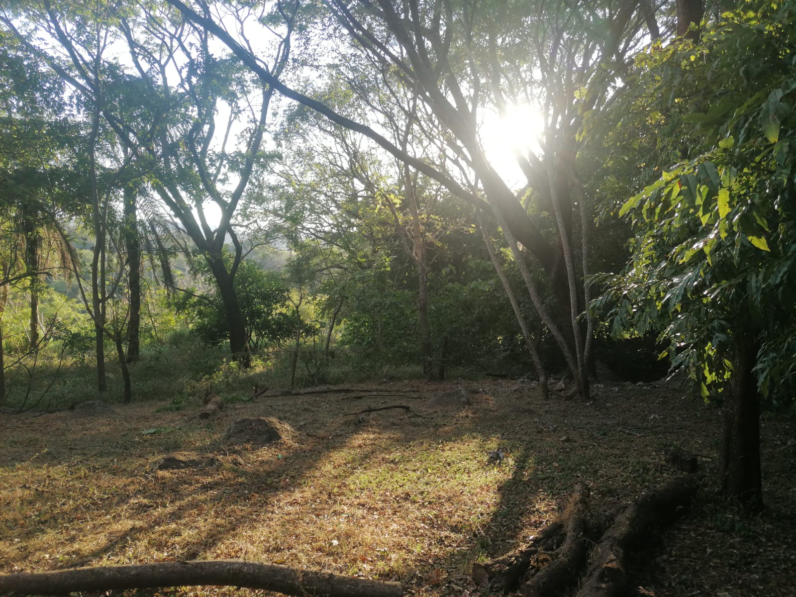 Nature Lover: 5,121 m2 Lot with Mountain Views and Lush Fruit Orchard photo 11