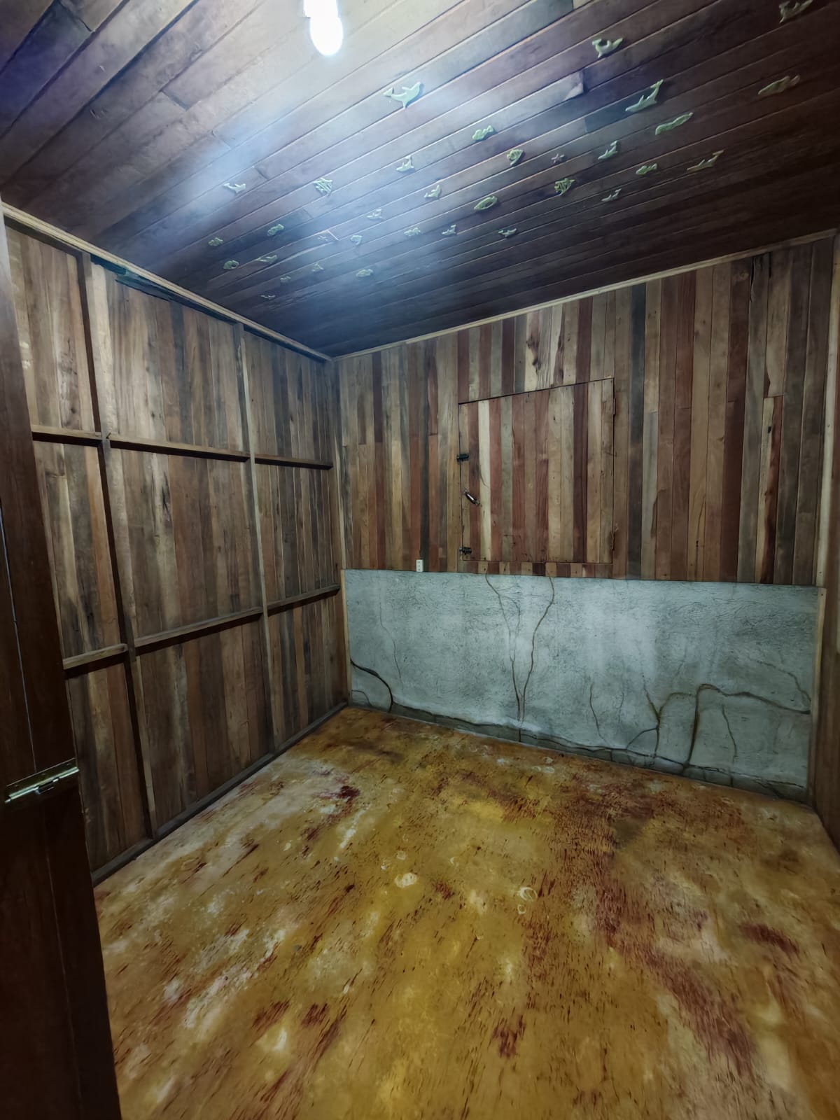 Spectacular 105-Hectare Lot with Lakes, Mountain Views, & Natural Resources  photo 33