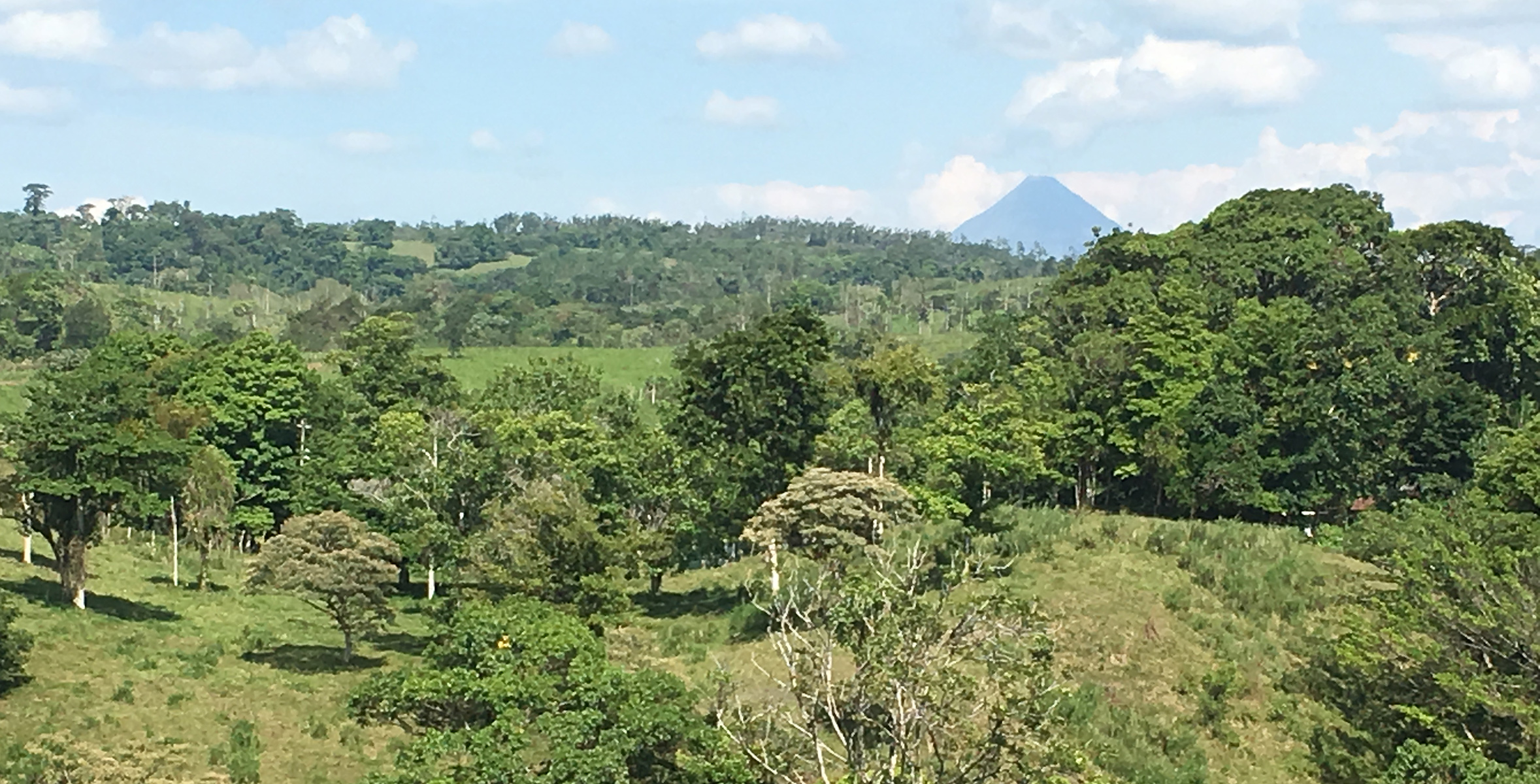 Beautiful, 5337 m2 Lake and Volcano View Lot in Gated Community in Nuevo Arenal photo 7