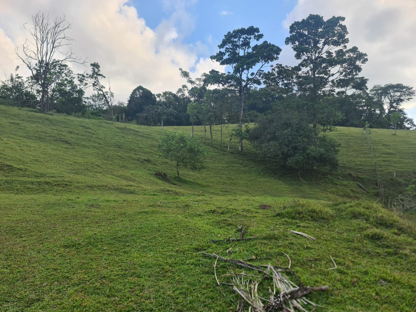 Gorgeous 50,372 m2 (12,4 acre) Farm In Cabanga, Guatuso photo 7