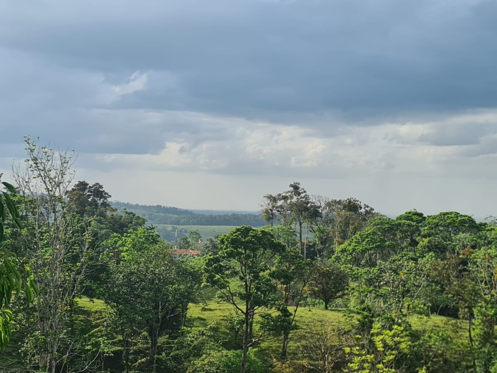 Gorgeous 50,372 m2 (12,4 acre) Farm In Cabanga, Guatuso photo 9