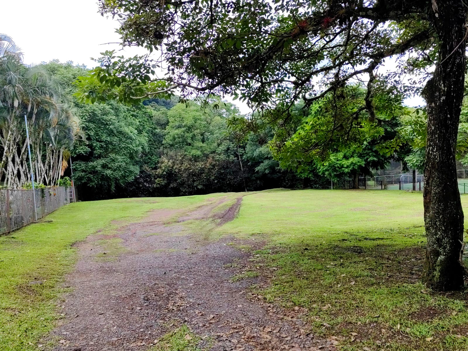 Touristic Complex w/Restaurant, Pools, Cabins, House and more!  photo 19