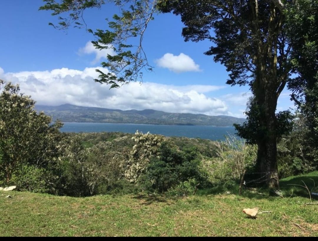 Lake View Commercial Complex-Commercial Building+6 Rental Houses+Apartment photo 26