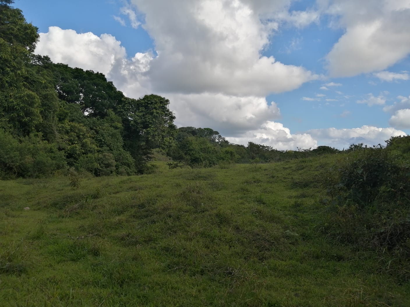 16-Hectare Farm with a Private Well and Views of Lake Arenal in Nuevo Arenal photo 52