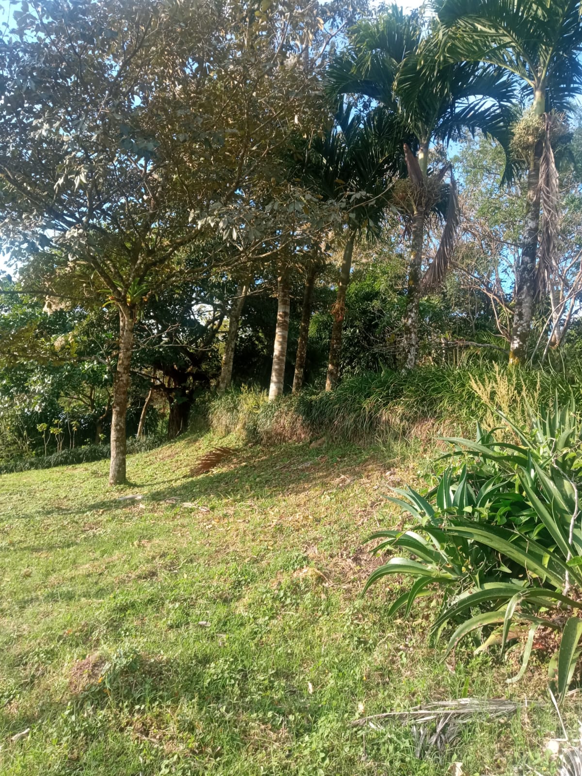 Beautiful, 1407 m2 (0,34 acres) Lot in Parcelas de Quebrada Azul, Tilarán photo 8