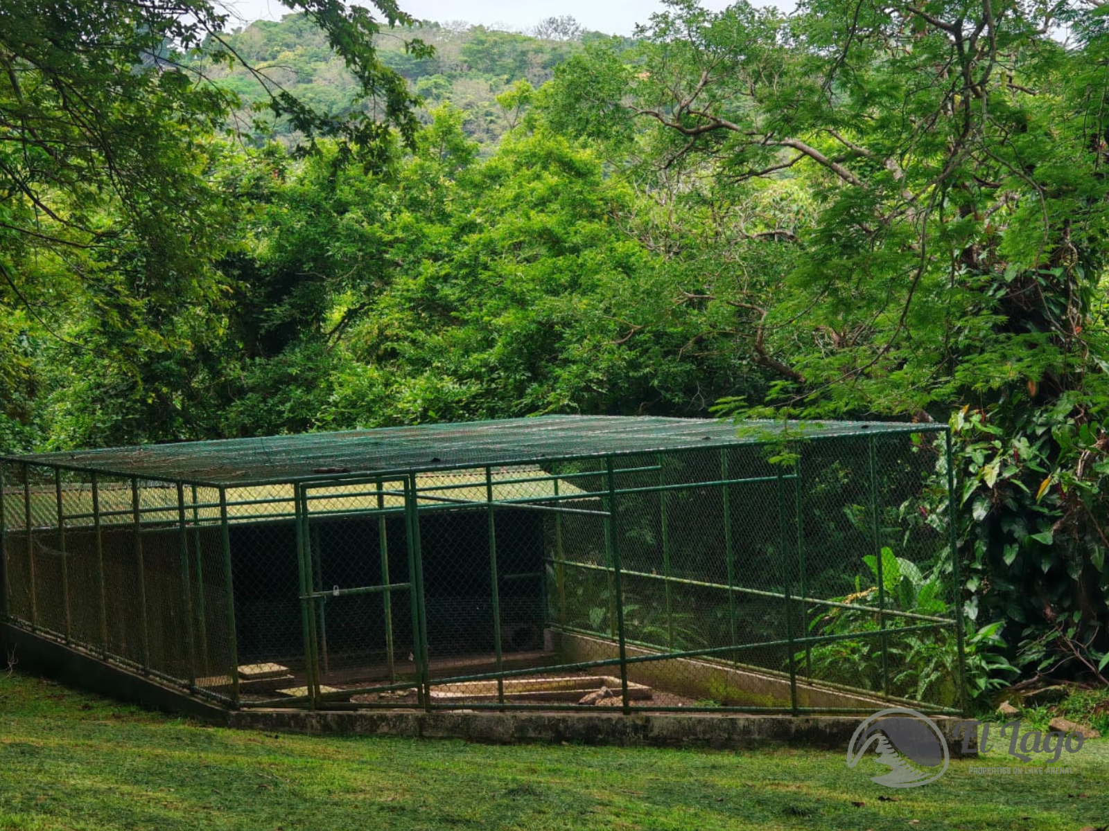 Luxury Estate w/ 8 BD, 9 BA, Private Forest, and Development Potential photo 96