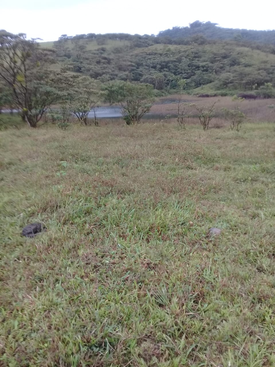 21.8 Hectare Development On Lake Cote, Guatuso, Alajuela photo 8