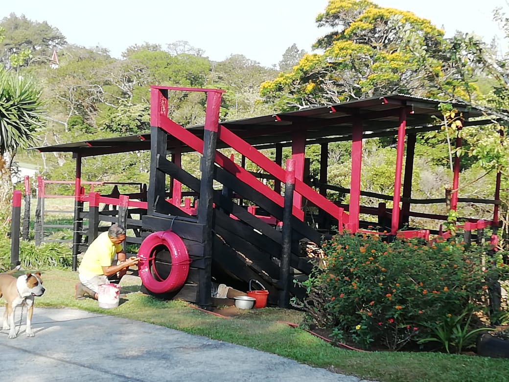 Expansive 30,229 m² (7.46 Acre) Lot w/ House & Scenic Views in Tierras Morenas photo 41