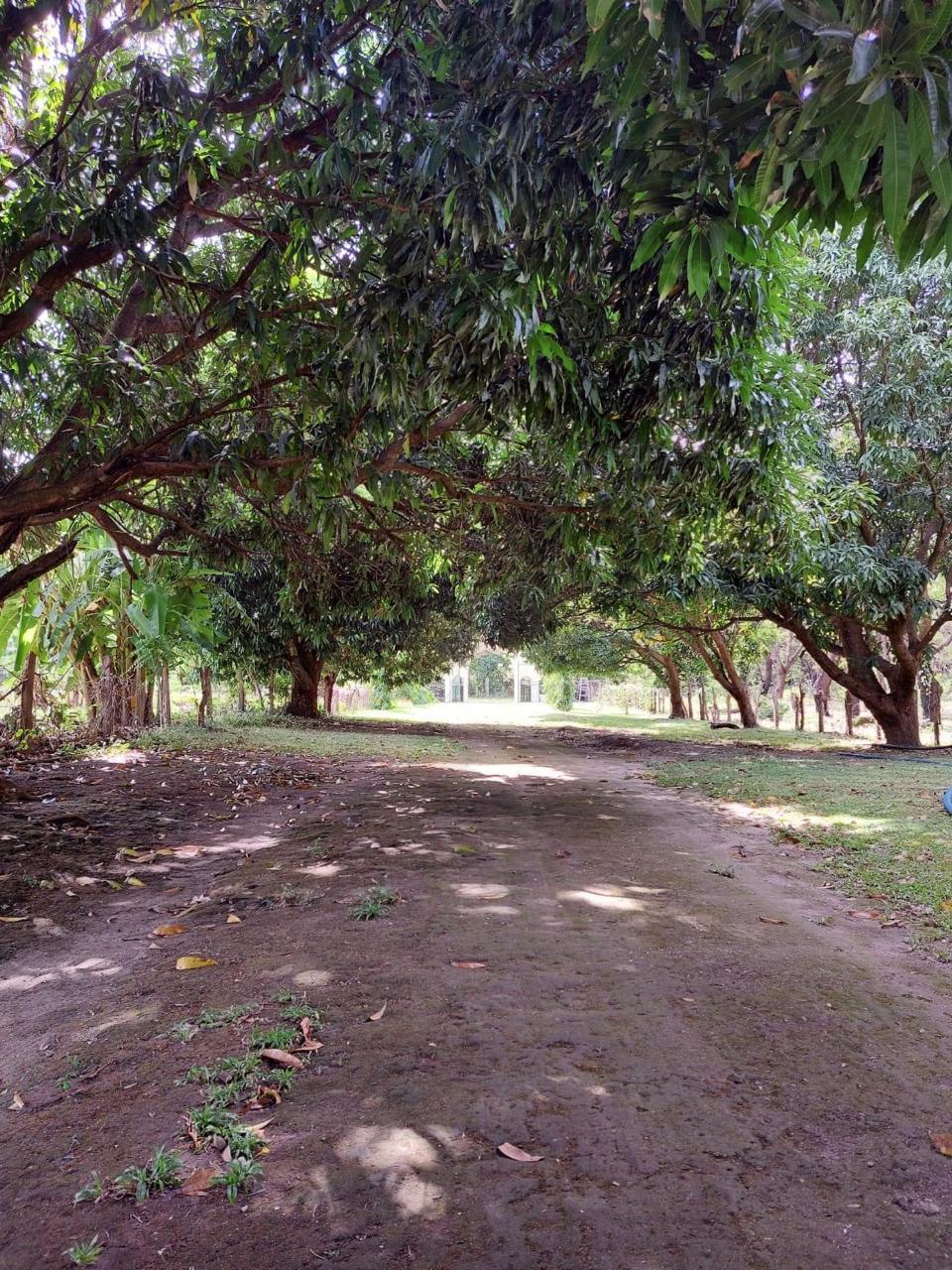 450-Hectare Estate w/ Nature Reserve, Three Homes & Rivers in Guanacaste photo 54
