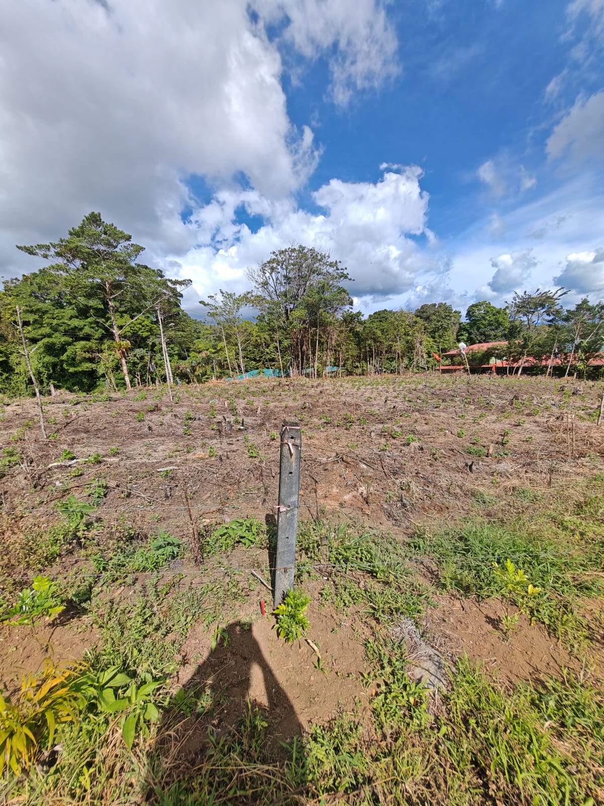 Prime 1,000 m² Lot with Stunning Lake & Mountain Views In Arenal  photo 9