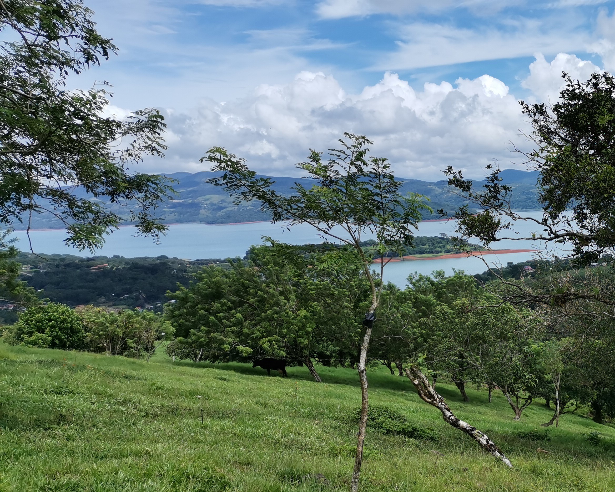Magnificent 24,811m2 Lake and Volcano View Parcel with Huge Views in Tronadora photo 10