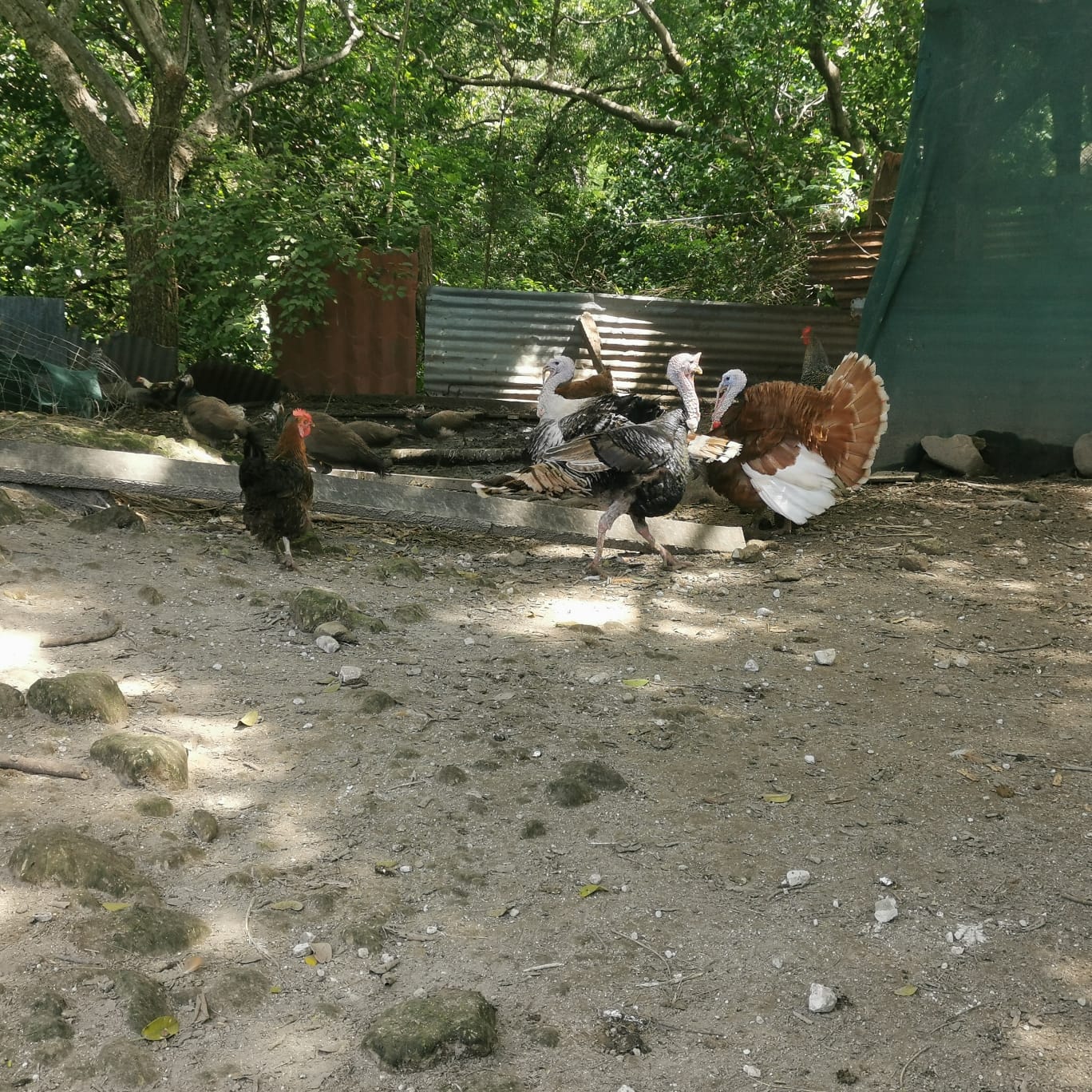 450-Hectare Estate w/ Nature Reserve, Three Homes & Rivers in Guanacaste photo 43